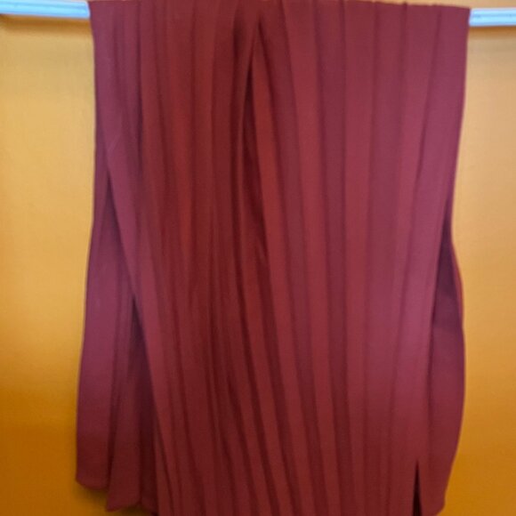 Rust Pleated Midi Skirt (Max Studio, Size Large) - Picture 3 of 4